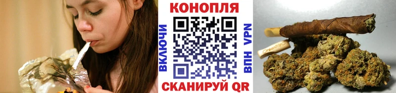 Конопля конопля  Губаха 